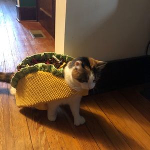 Meet your Posher, Karla